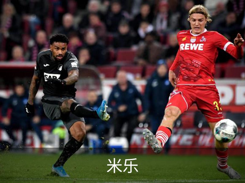 了解米乐